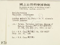 登錄號:F0003404藏品圖，第2張