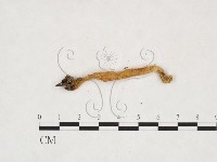 登錄號:F0003404藏品圖，第3張