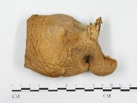 登錄號:F0003405藏品圖，第3張