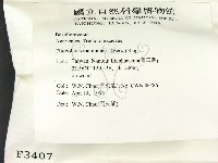 登錄號:F0003407藏品圖，第2張