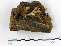登錄號:F0003407藏品圖，第3張
