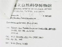 登錄號:F0003408藏品圖，第3張