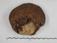 登錄號:F0003408藏品圖，第1張