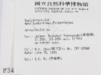 登錄號:F0003409藏品圖，第2張