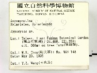 登錄號:F0003410藏品圖，第2張