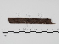 登錄號:F0003411藏品圖，第1張