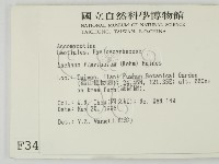 登錄號:F0003413藏品圖，第2張