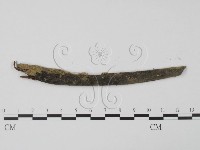 登錄號:F0003413藏品圖，第1張