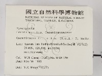 登錄號:F0003414藏品圖，第2張