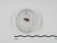 登錄號:F0003414藏品圖，第1張