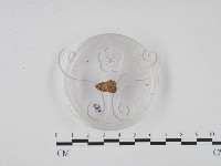 登錄號:F0003414藏品圖，第3張