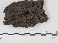 登錄號:F0003416藏品圖，第1張