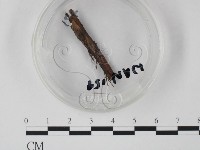 登錄號:F0003418藏品圖，第1張