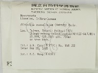 登錄號:F0003420藏品圖，第2張