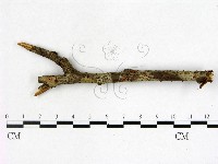 登錄號:F0003421藏品圖，第1張