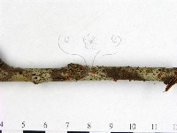 登錄號:F0003421藏品圖，第3張