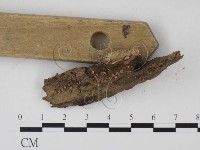 登錄號:F0003422藏品圖，第3張