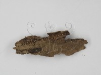 登錄號:F0003422藏品圖，第4張