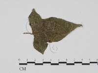 登錄號:F0003424藏品圖，第1張