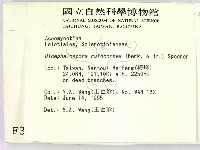 登錄號:F0003425藏品圖，第2張