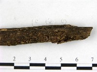 登錄號:F0003425藏品圖，第3張