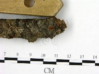 登錄號:F0003426藏品圖，第3張