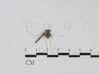 登錄號:F0003427藏品圖，第3張