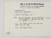 登錄號:F0003428藏品圖，第2張