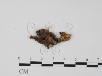 登錄號:F0003428藏品圖，第3張
