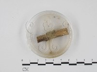 登錄號:F0003429藏品圖，第3張