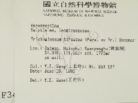 登錄號:F0003430藏品圖，第2張
