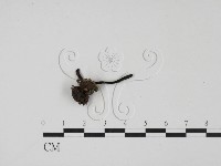 登錄號:F0003430藏品圖，第3張