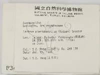 登錄號:F0003431藏品圖，第2張
