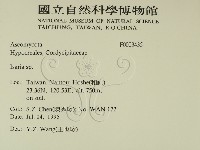 登錄號:F0003435藏品圖，第2張