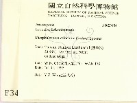 登錄號:F0003436藏品圖，第2張