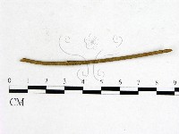 登錄號:F0003436藏品圖，第1張