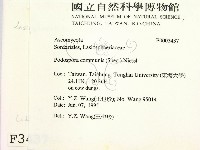 登錄號:F0003437藏品圖，第2張