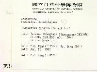 登錄號:F0003440藏品圖，第2張