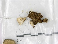 登錄號:F0003440藏品圖，第1張