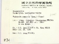 登錄號:F0003441藏品圖，第2張
