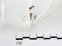 登錄號:F0003441藏品圖，第1張