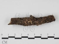 登錄號:F0003442藏品圖，第1張