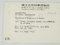 登錄號:F0003443藏品圖，第2張
