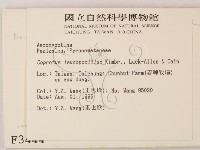 登錄號:F0003444藏品圖，第2張