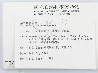 登錄號:F0003445藏品圖，第2張