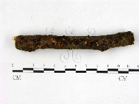 登錄號:F0003446藏品圖，第1張