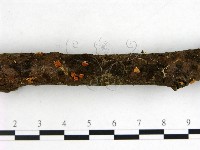 登錄號:F0003446藏品圖，第3張