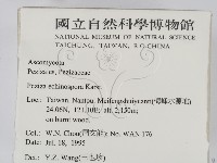 登錄號:F0003447藏品圖，第2張