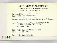 登錄號:F0003448藏品圖，第2張