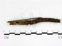 登錄號:F0003448藏品圖，第1張